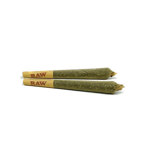 Sherbert 0.5g Pre-Rolls | 5pk