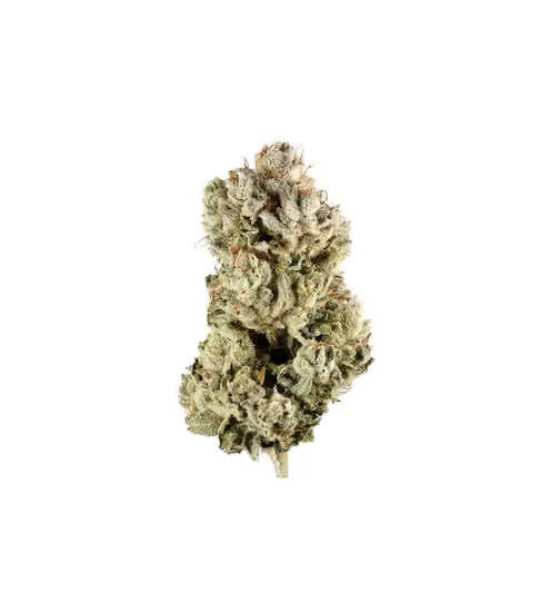Compound DC Dispensary Flagstore | Gorilla Glue a.k.a. GG4 | Premium Flower | 3.5g