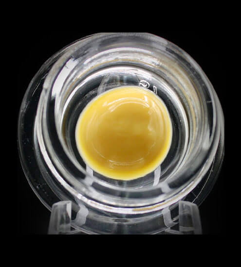 Beezle | 1g | Concentrates | Budder | Hybrid | Cindy 99