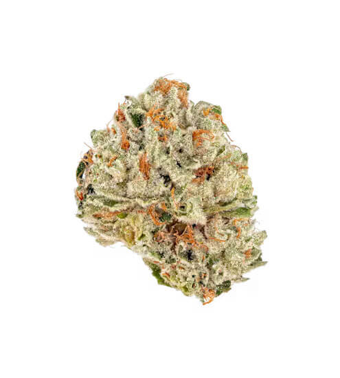Alternative Solutions | Blue Gushers | Premium Flower | 3.5g