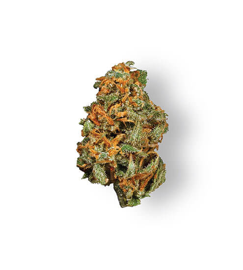 Alternative Sloutions | Super Lemon G | Premium Flower | 3.5g