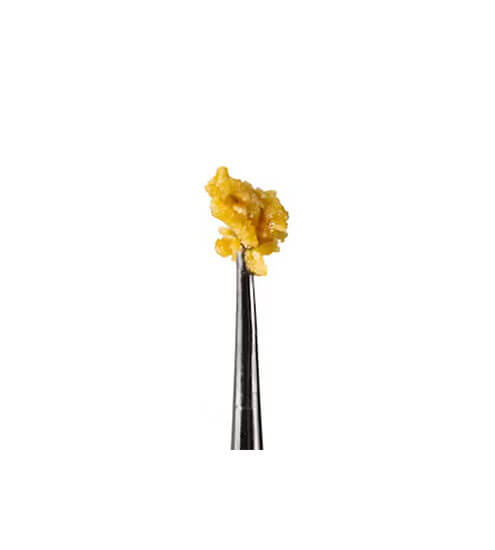 Alchemist | 1g | Concentrates | Live Badder | Hybrid | Blue Dream