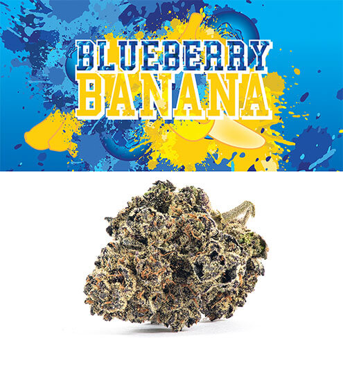 Cookies | Blueberry Banana | Pre-Packaged Premium Flower | 7g