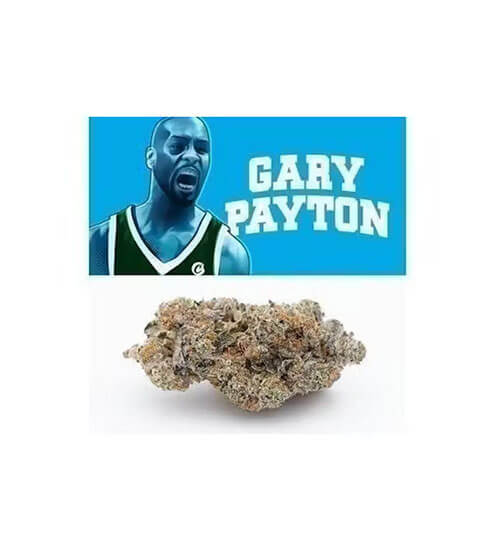 Cookies | Gary Payton | Pre-Packaged Top Shelf Flower | 3.5g