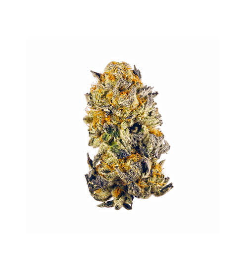 Compound DC Dispensary Flagstore | Cherry Kush | Pre-Pack Premium Flower | 7g