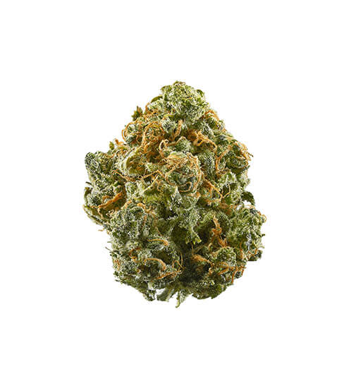 Bargain Budd | Guava Gas | Top-Shelf Flower | 3.5g