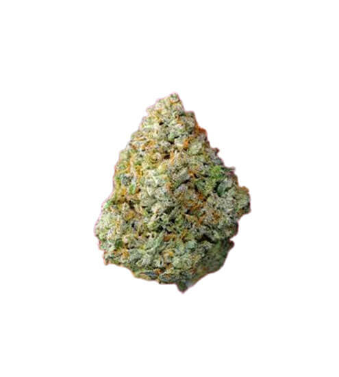 Alien Labs | Area 41 | Designer Flower | 3.5g
