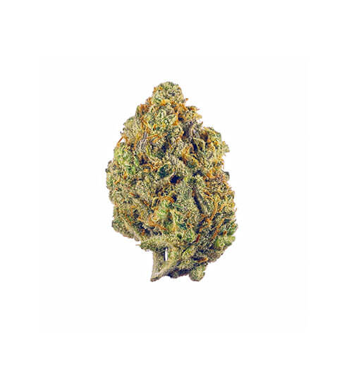 Compound DC Dispensary Flagstore | Jenny Kush | Designer Flower | 3.5g