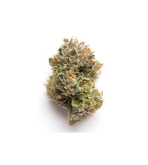 Compound DC Dispensary Flagstore | Gelato 33 | Pre-Pack Premium Flower | 3.5g