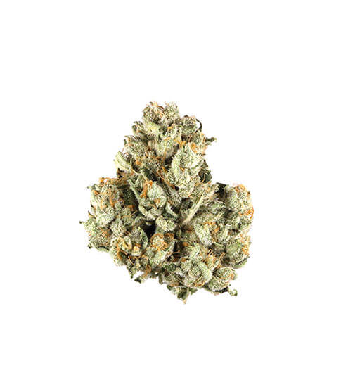 Compound DC Dispensary Flagstore | Pink Rozay | Top-Shelf Flower | 3.5g