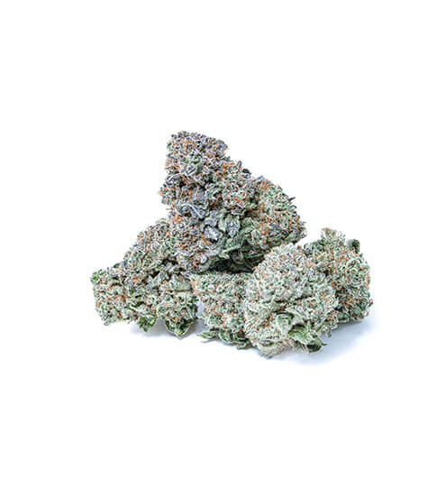 Compound DC Dispensary Flagstore | Bubble Gum Gelato | Top-Shelf Flower | 3.5g