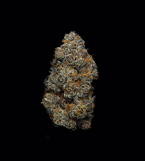 Compound DC Dispensary Flagstore | White Truffle | Top-Shelf Flower | 3.5g