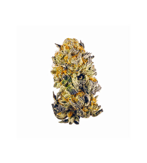 Compound DC Dispensary Flagstore | Purple Runtz | Pre-Pack Premium Flower | 7g