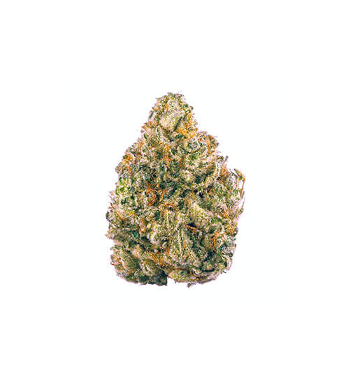 Compound DC Dispensary Flagstore | Fat Bastard | Designer Flower | 3.5g