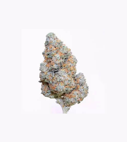 Compound DC Dispensary Flagstore | Frozen Black Cherry | Designer Flower | 3.5g